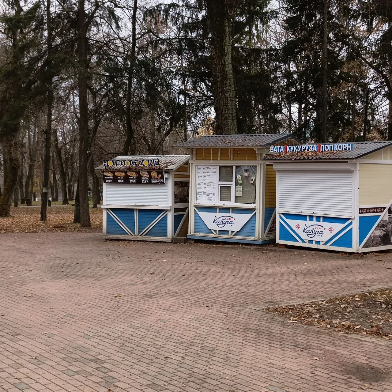 Фото из Telegram-канала «Щелчки в пластмассе»